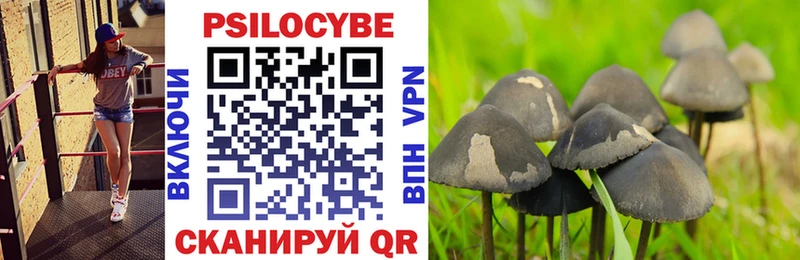 что такое   Заозёрный  Псилоцибиновые грибы мухоморы 